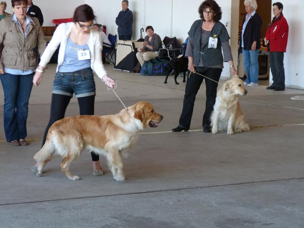 Clic pour l'image suivante