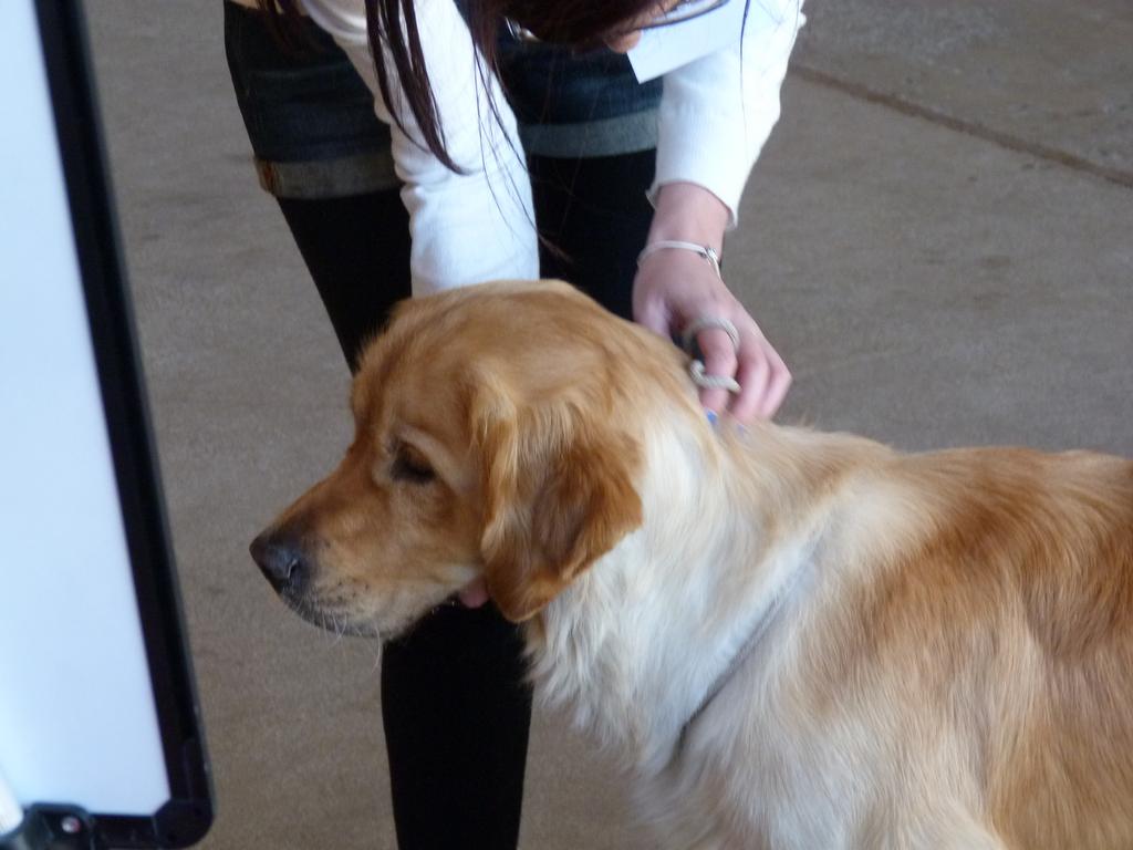 Clic pour l'image suivante