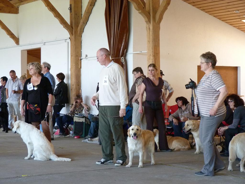 Clic pour l'image suivante