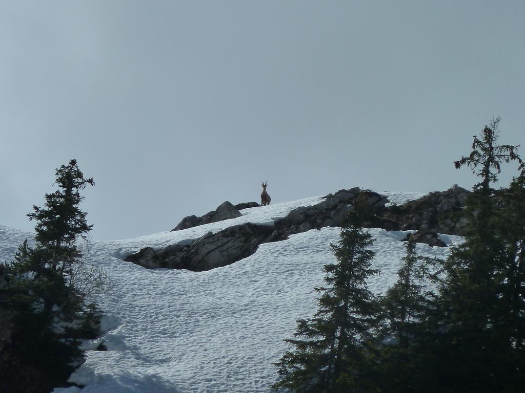 Clic pour l'image suivante