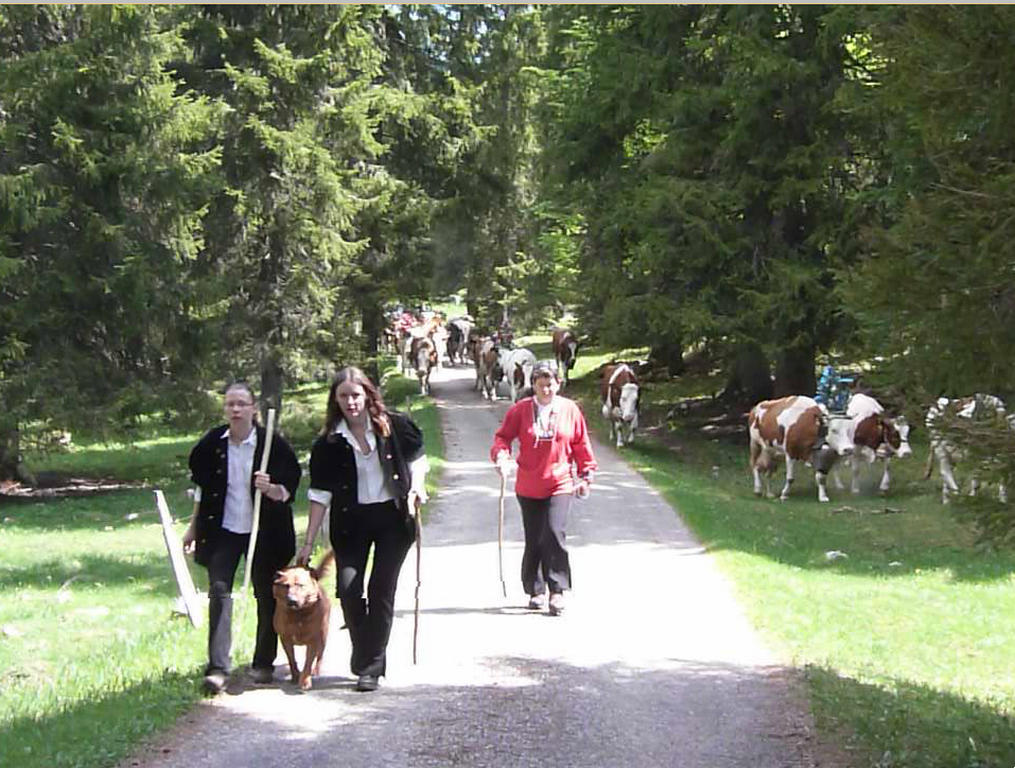 Clic pour l'image suivante