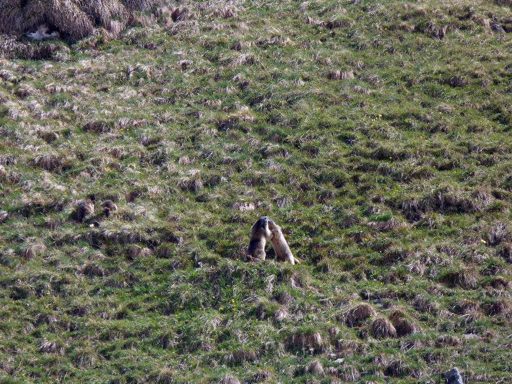 Clic pour l'image suivante