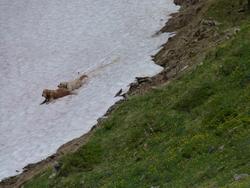 Click to see big picture (1024x768 pixels; 131 KB)