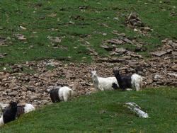 Click to see big picture (1024x768 pixels; 220 KB)