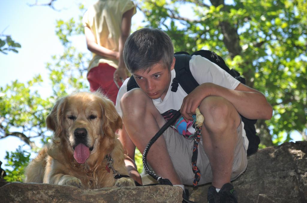 Clic pour l'image suivante