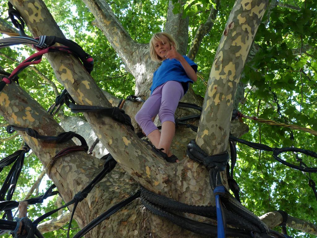 Clic pour l'image suivante