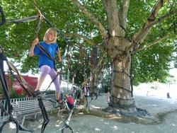 Clic pour agrandir l'image (1024x768 pixels; 214 KB)