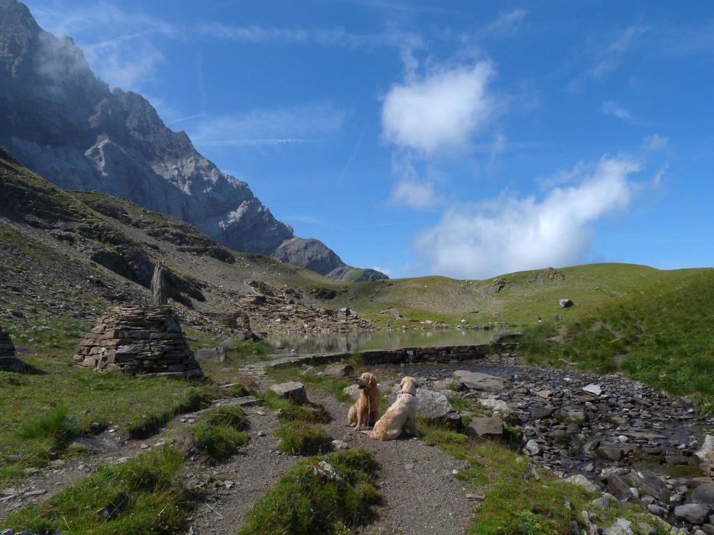 Clic pour l'image suivante