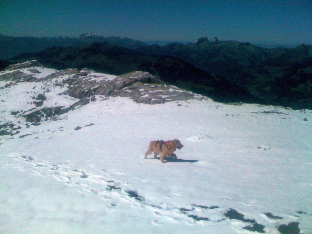 Clic pour l'image suivante