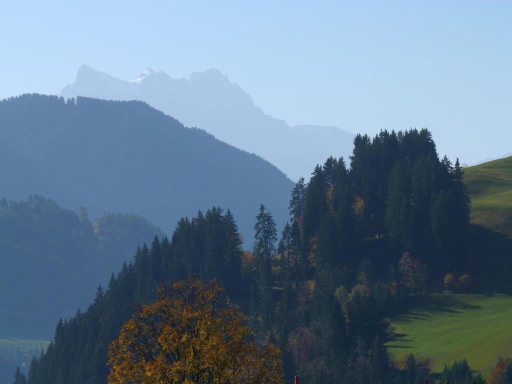 Clic pour l'image suivante