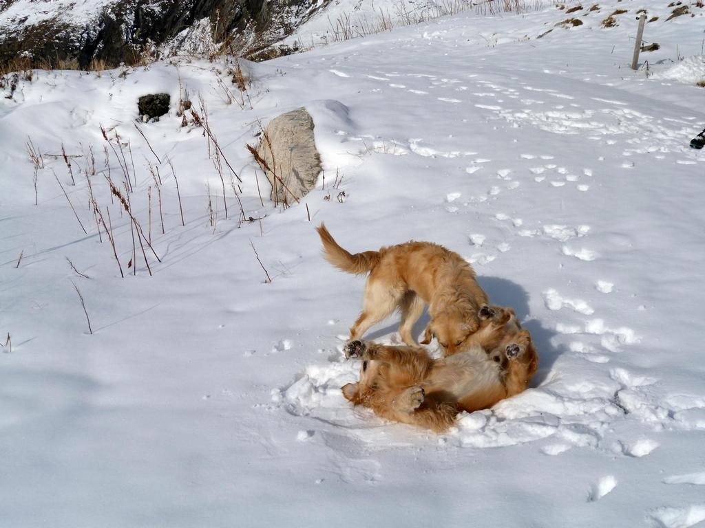 Clic pour l'image suivante