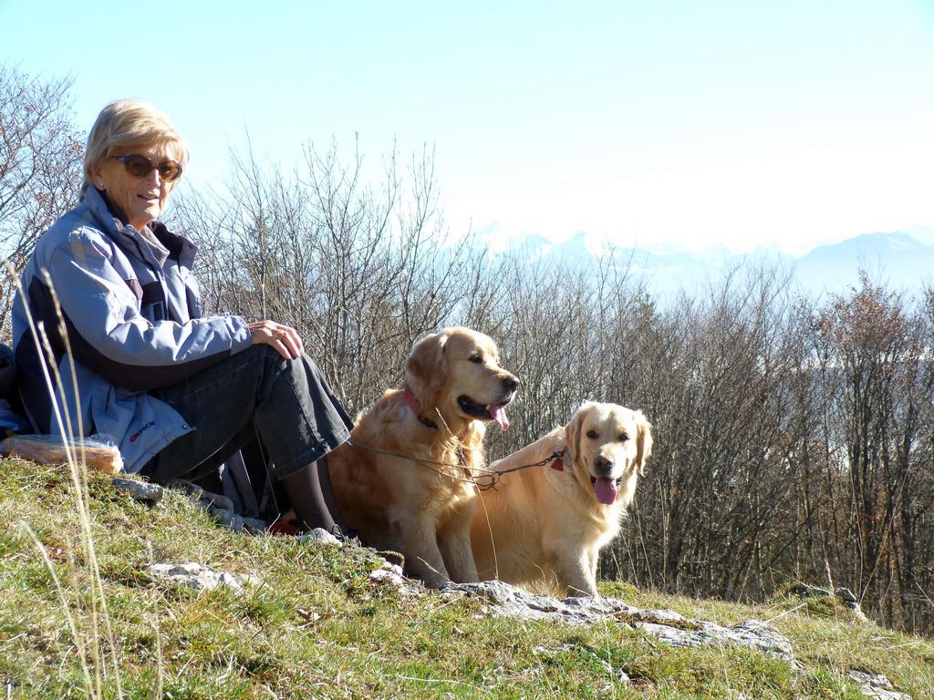 Clic pour l'image suivante