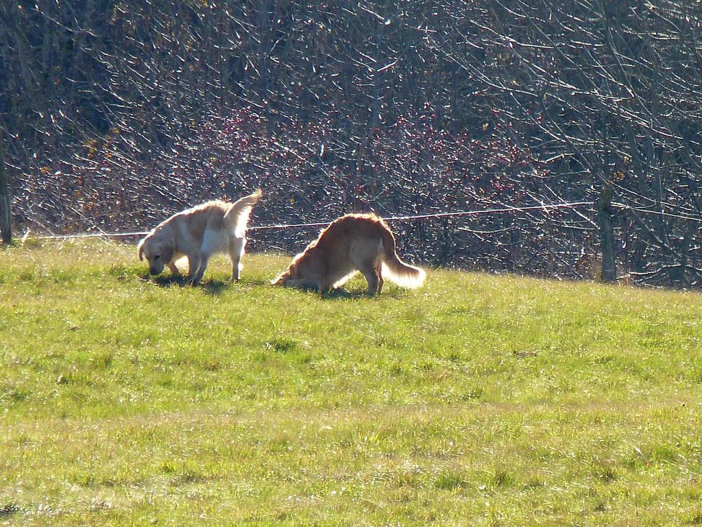 Clic pour l'image suivante