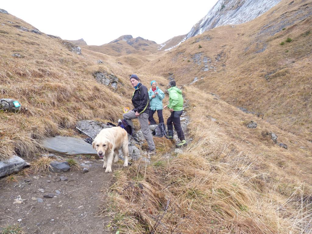 Clic pour l'image suivante