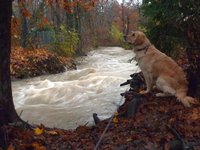 Clic pour agrandir l'image (1024x768 pixels; 116 KB)