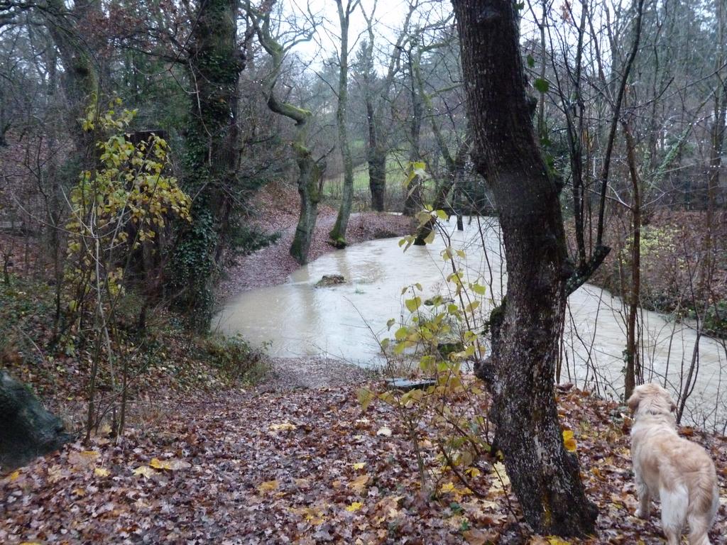 Clic pour l'image suivante