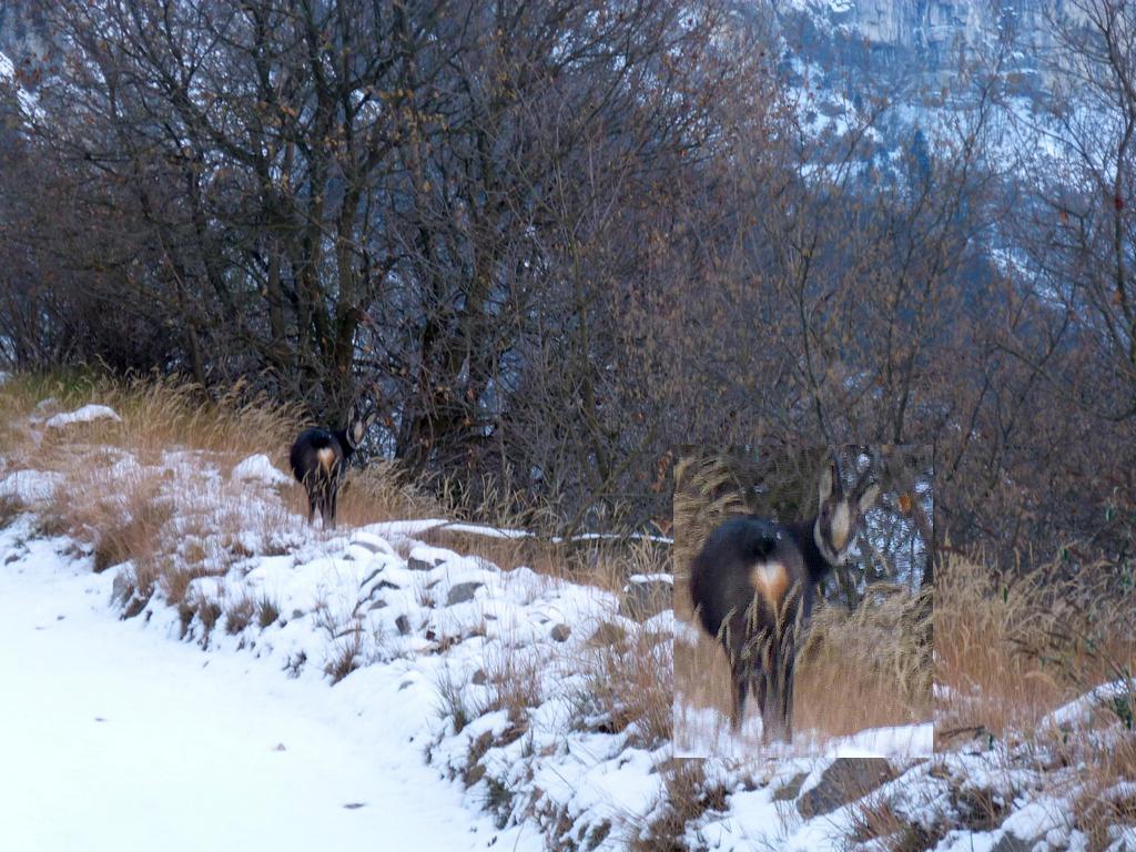Clic pour l'image suivante