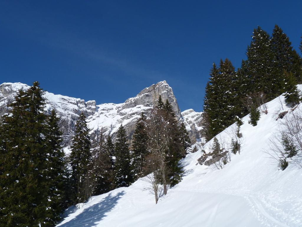 Clic pour l'image suivante