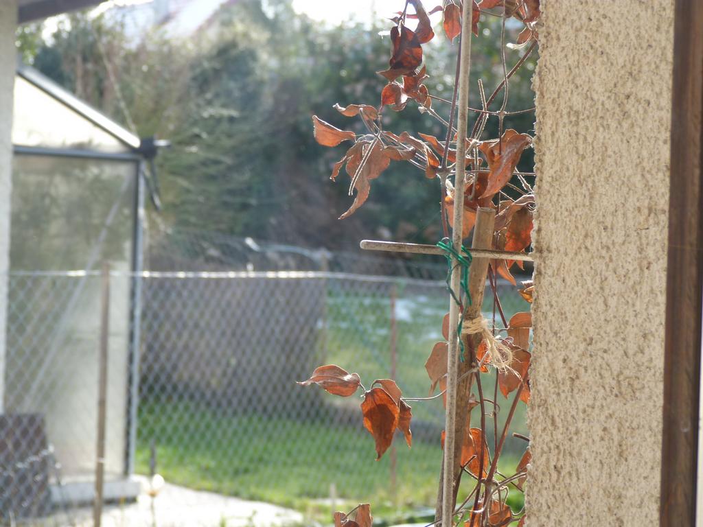 Clic pour l'image suivante