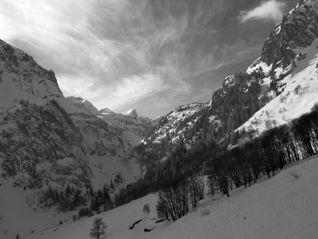 Clic pour l'image suivante