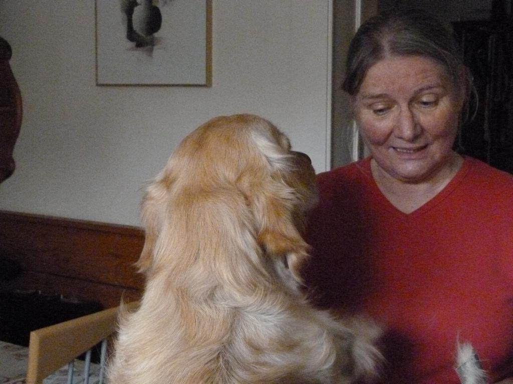 Clic pour l'image suivante