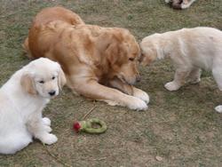 Clic pour agrandir l'image (1024x768 pixels; 125 KB)