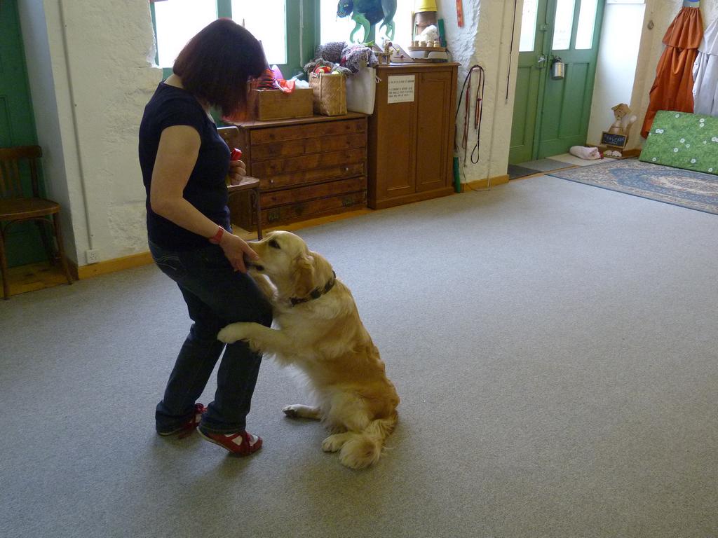 Clic pour l'image suivante