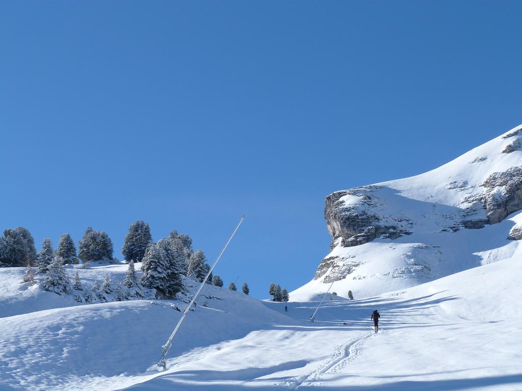 Clic pour l'image suivante