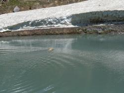 Clic pour agrandir l'image (1024x768 pixels; 137 KB)