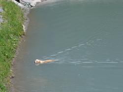 Clic pour agrandir l'image (1024x768 pixels; 84 KB)