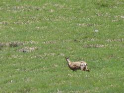 Clic pour agrandir l'image (1024x768 pixels; 173 KB)