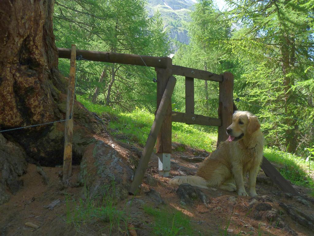 Clic pour l'image suivante