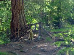 Clic pour agrandir l'image (1024x768 pixels; 180 KB)