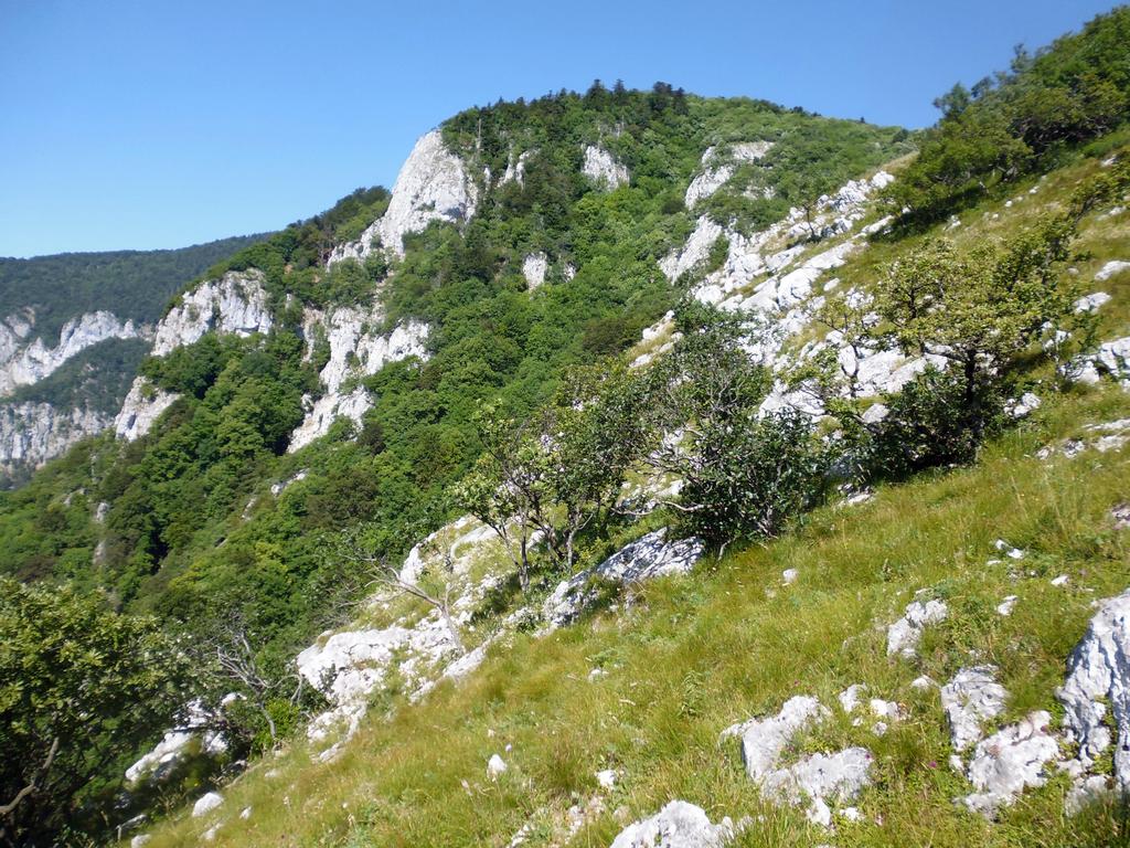 Clic pour l'image suivante