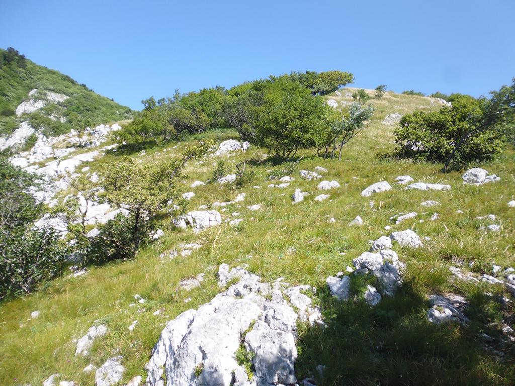 Clic pour l'image suivante