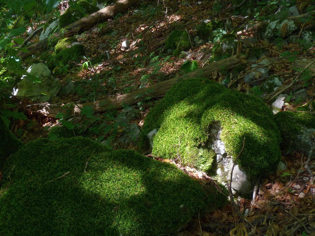 Clic pour l'image suivante