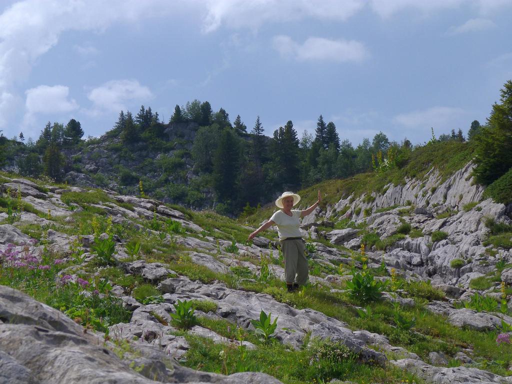 Clic pour l'image suivante