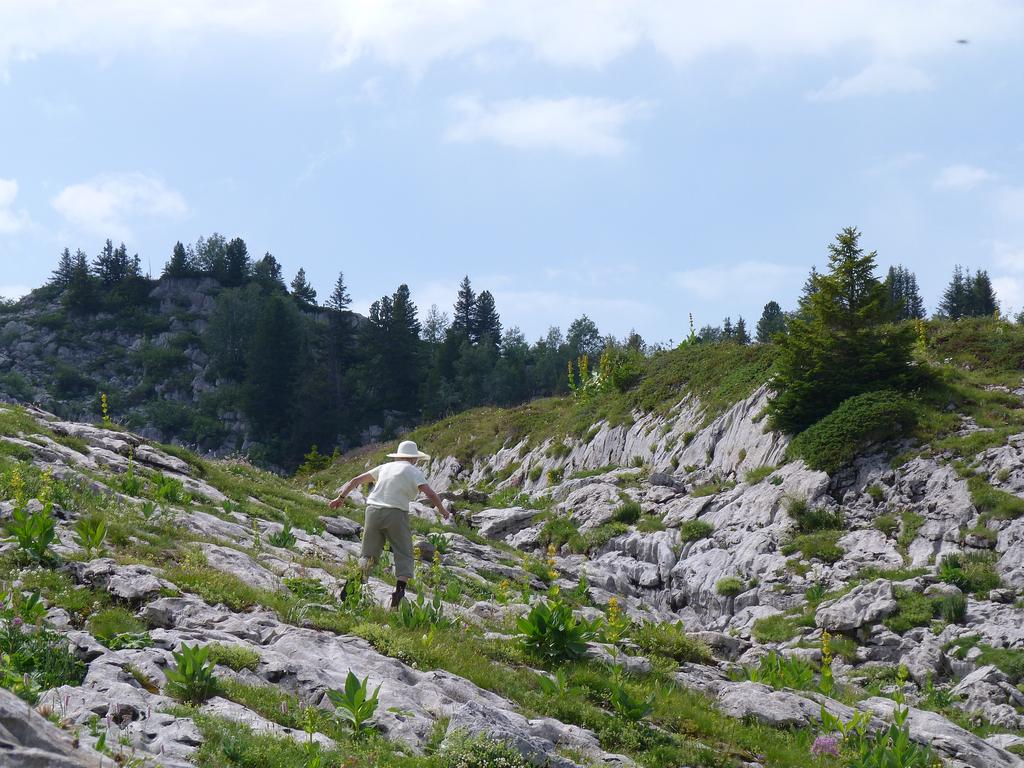 Clic pour l'image suivante