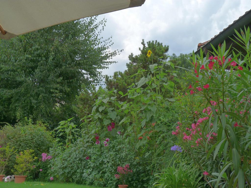 Clic pour l'image suivante