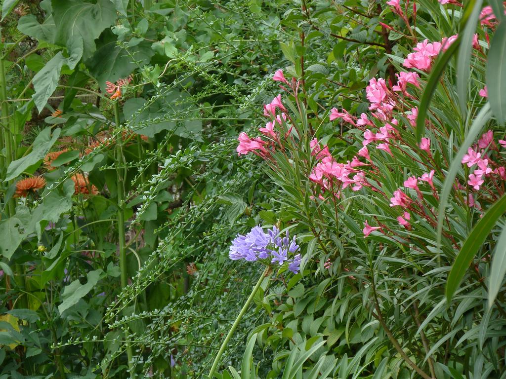 Clic pour l'image suivante