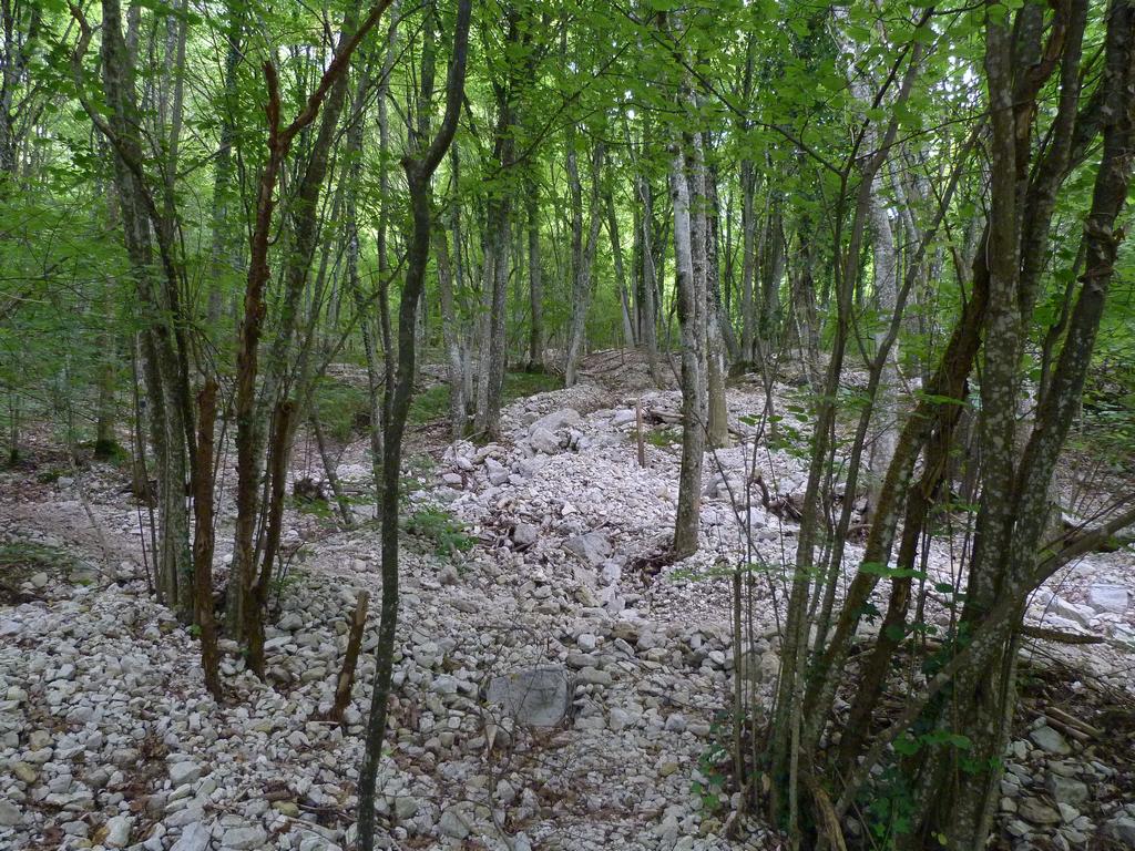 Clic pour l'image suivante