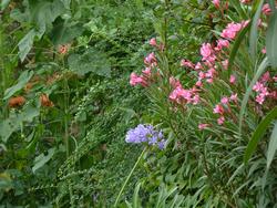 Clic pour agrandir l'image (1024x768 pixels; 198 KB)