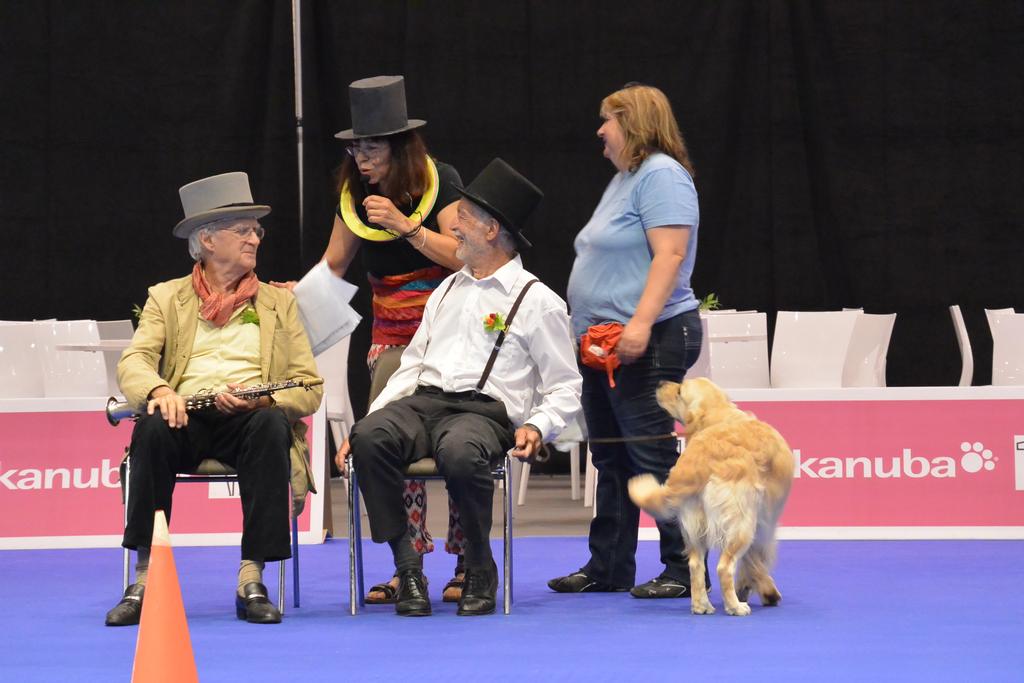 Clic pour l'image suivante