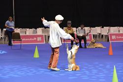 Clic pour agrandir l'image (1024x683 pixels; 72 KB)