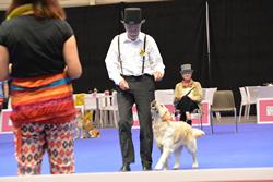 Clic pour agrandir l'image (1024x683 pixels; 78 KB)