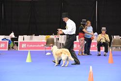 Clic pour agrandir l'image (1024x683 pixels; 74 KB)