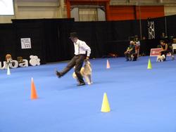 Clic pour agrandir l'image (1024x768 pixels; 69 KB)