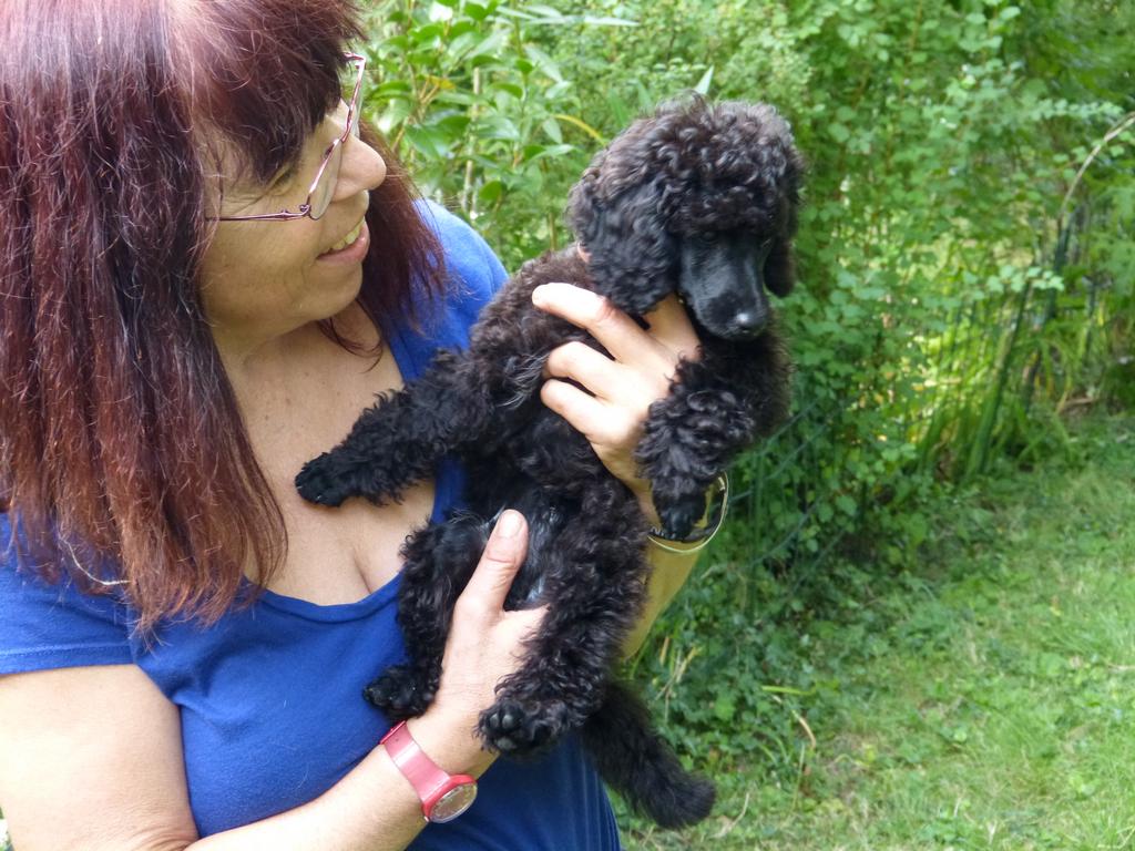 Clic pour l'image suivante