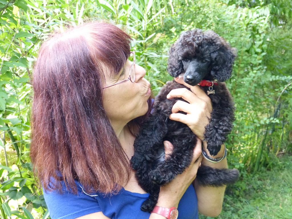 Clic pour l'image suivante