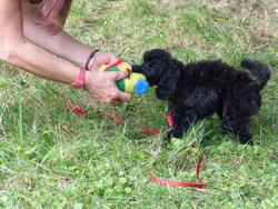 Clic pour agrandir l'image (1024x768 pixels; 183 KB)